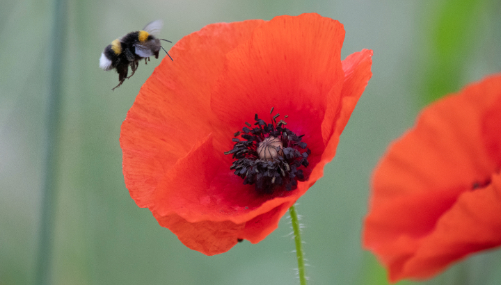 Entre ville & champs à Bréal